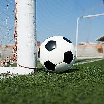 资深球迷赛事分析场景